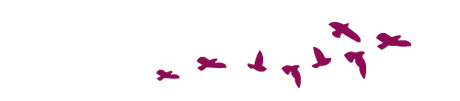 Le Hameau de l'étoile